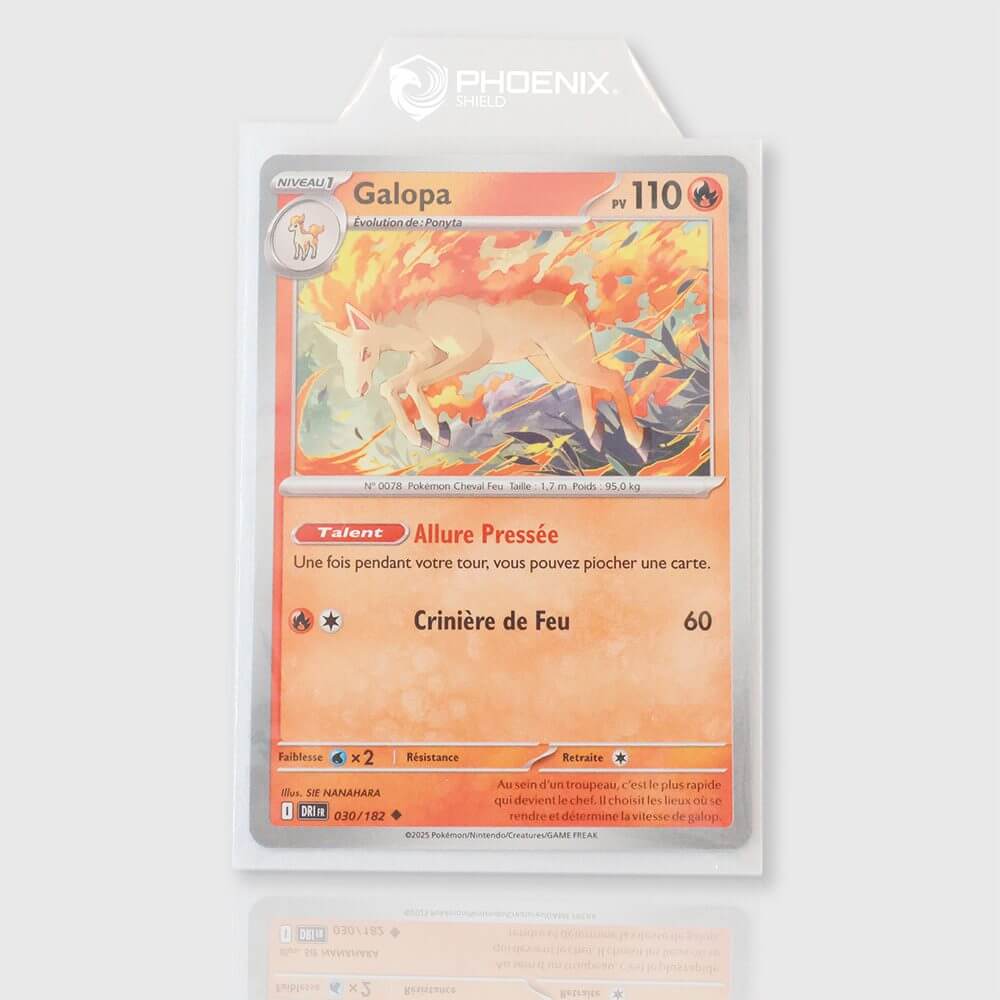 Phoenix Shield – Sleeves à Languette × 100