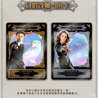 Display Kayou Harry Potter Vol. 3