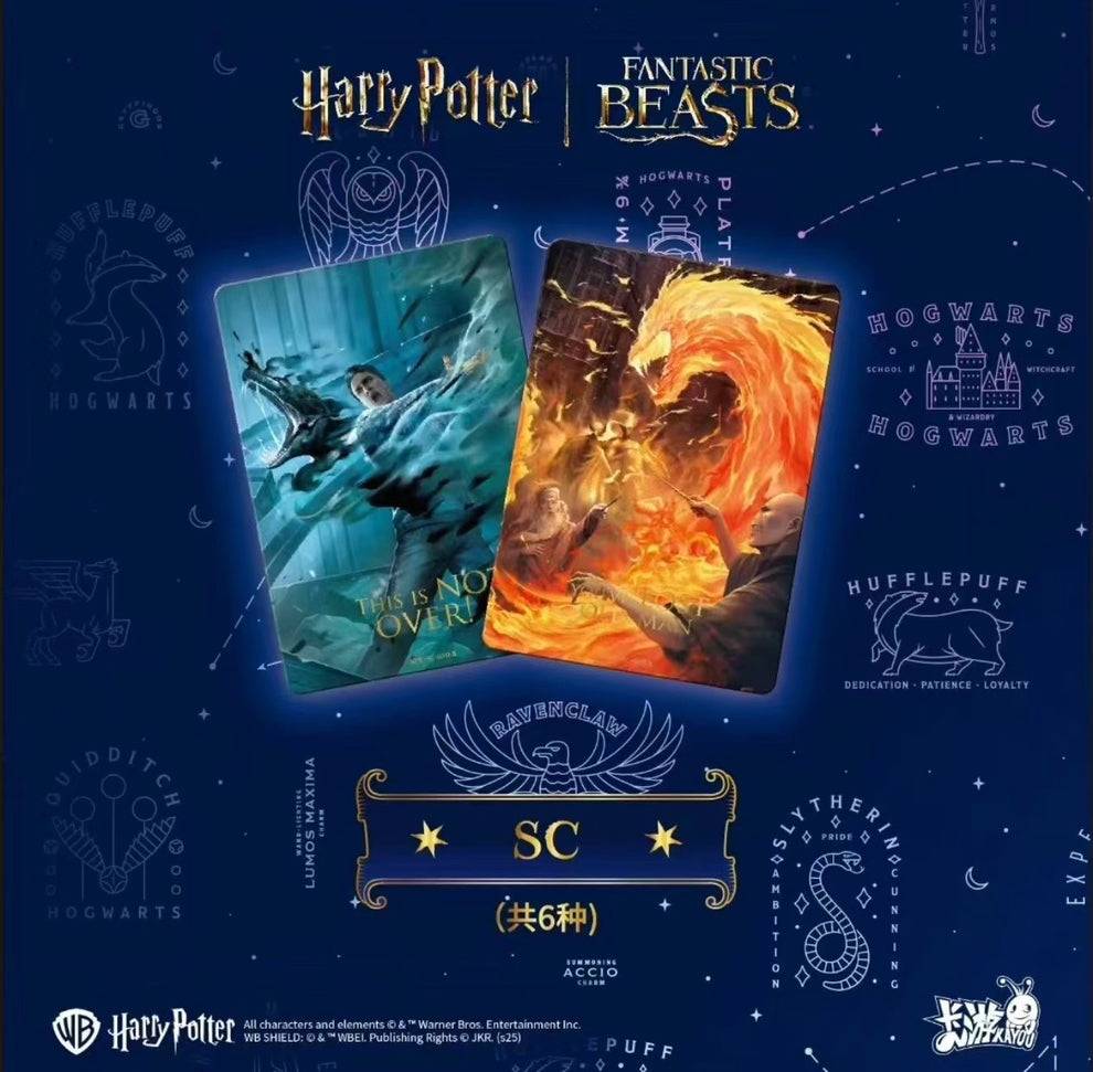 Display Kayou Harry Potter & Les Animaux Fantastiques – Vol. 4